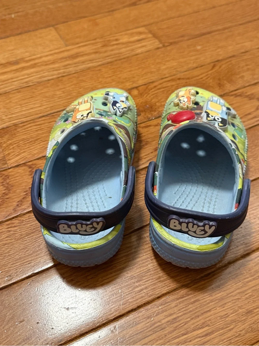 Bluey Cartoon Slip-On Clogs crocs C9